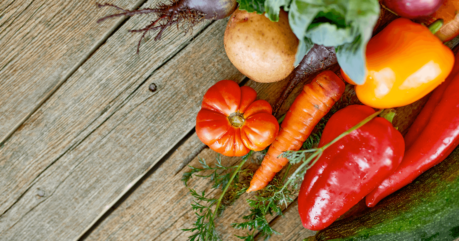 900+ meilleures idées sur ORNEMENTS DE JARDIN