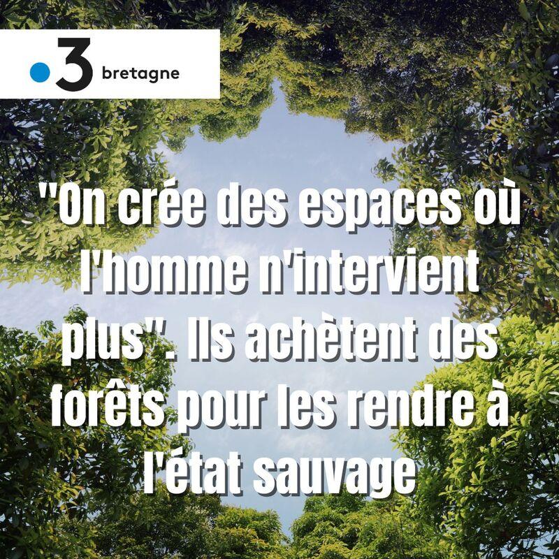 Focus on the free evolution of forests by France 3 Bretagne update