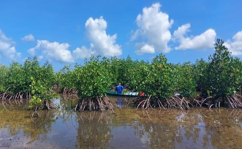 Help the GoodPlanet Foundation rehabilitate the Mangrove in Tanakeke! update