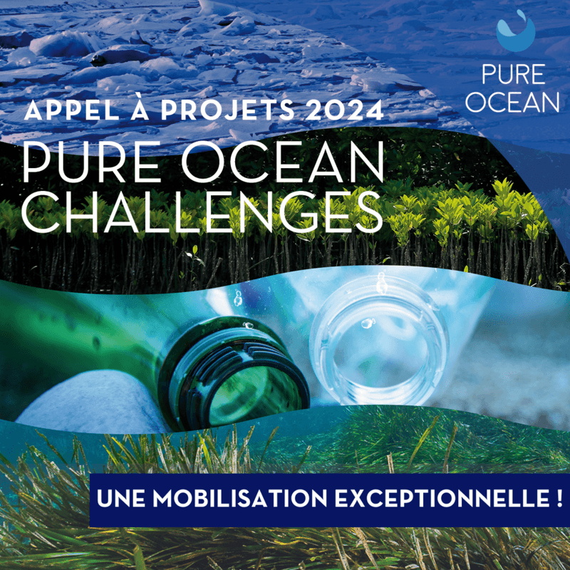 Pure Ocean call for projects: an exceptional mobilization!   update