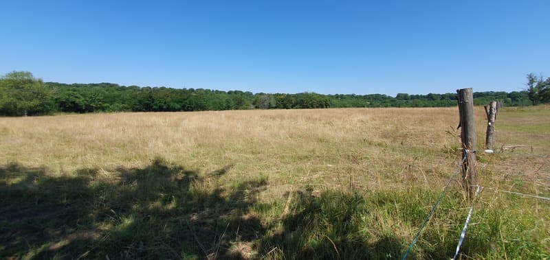 Deux nouvelles forêts en préparation update