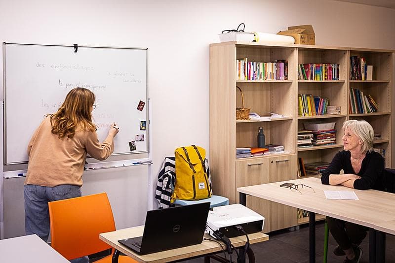 Impact image for hours of French as a Foreign Language (FLE) classes