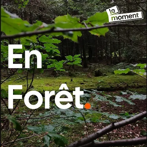ETATS SAUVAGES on the "En Forêt" podcast update