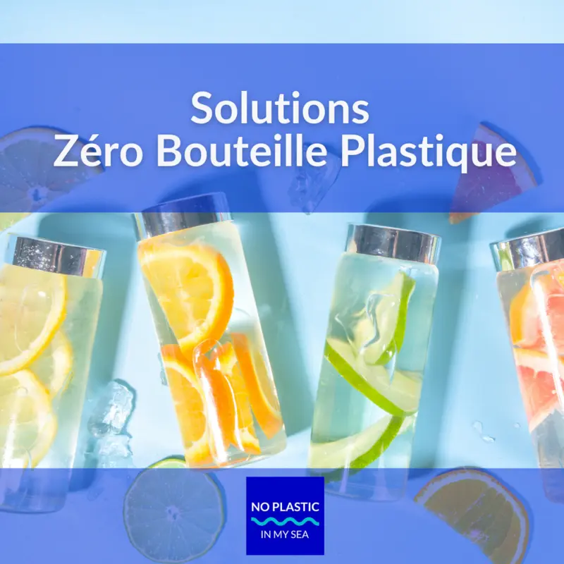 Notre projet "Les solutions zéro bouteille plastique" gagnant du budget participatif Eau de Paris update