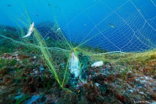 The end of ghost fishing
